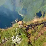 Mobil Accessible Pour 4 Pers. - Api-1-52-2145 * La Tour-dʼAuvergne