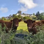 Camping Mobil Accessible Pour 4 Pers. - Api-1-52-2145