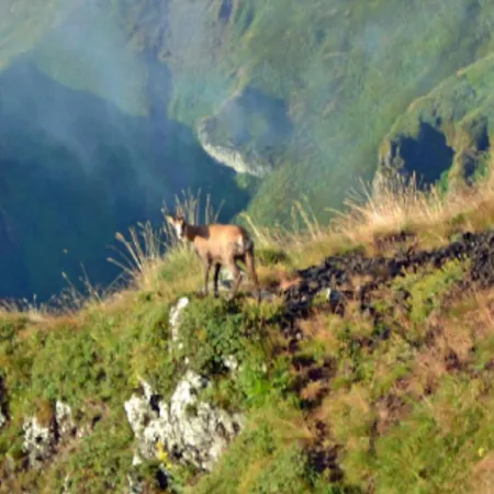 Mobil Accessible Pour 4 Pers. - Api-1-52-2145 * La Tour-d'Auvergne