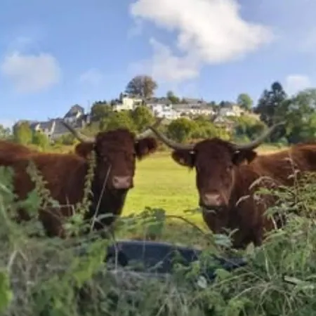 Campsite Mobil Accessible Pour 4 Pers. - Api-1-52-2145