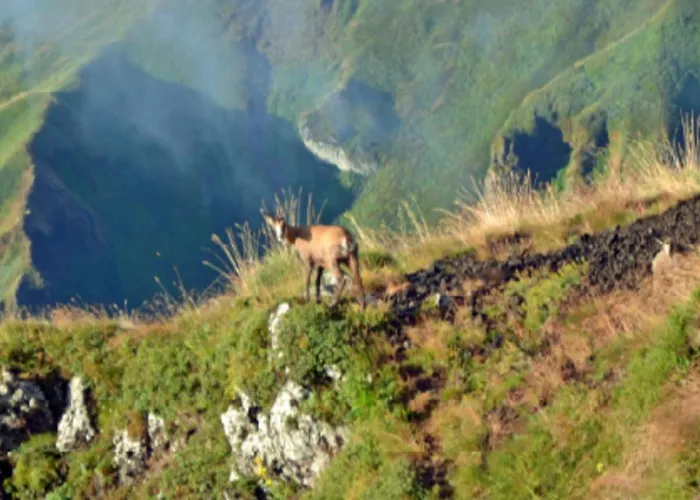 Mobil Accessible Pour 4 Pers. - Api-1-52-2145 * Ла-Тур-д'Овернь