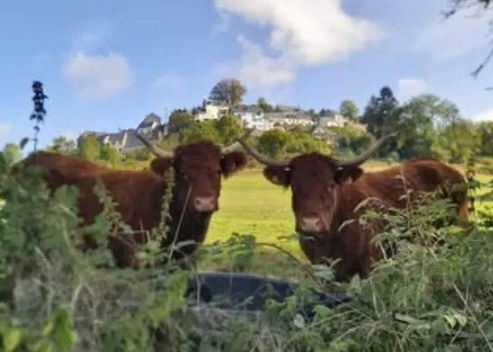 Campsite Mobil Accessible Pour 4 Pers. - Api-1-52-2145